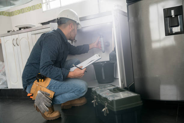 Best Residential Plumbing Services  in French Island, WI