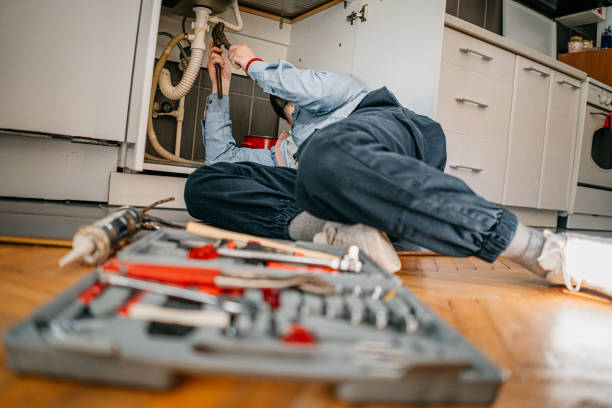 Best Water Softener Installation  in French Island, WI