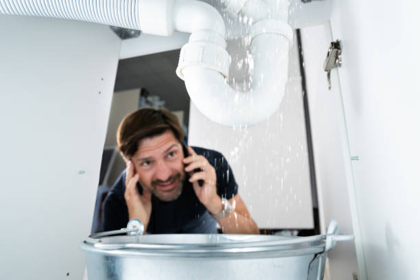 Best Sprinkler Systems  in French Island, WI